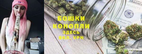 соль курить ск Белокуриха
